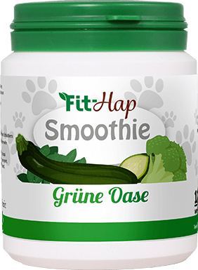 Fit-Hap Smoothie Grüne Oase 120 g