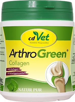 ArthroGreen Collagen 300 g