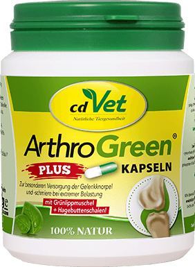 ArthroGreen plus 100 Kapseln