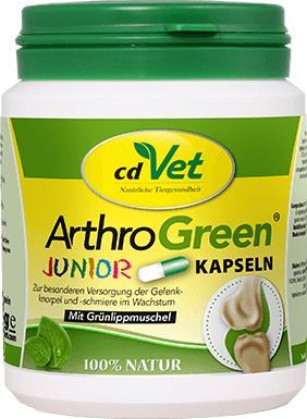 ArthroGreen Junior 100 Kapseln