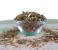 ArthroGreen herbal 1 kg