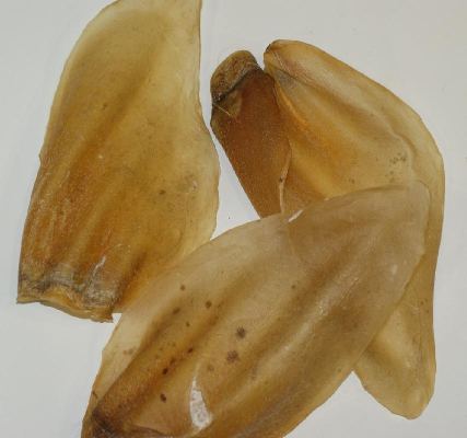 Rinderohren 10 Stück