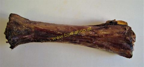 Rinder Knochen getrocknet