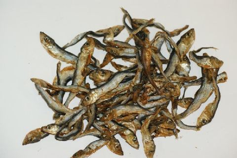 Fischerl klein, zur Belohnung 100g