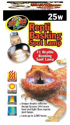 Reptilien Heizlampe 40W