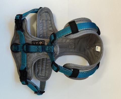 Geschirr XXS Petrol/Grau