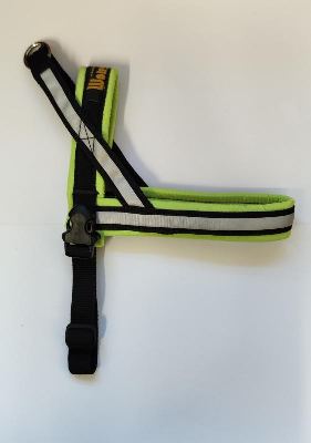 Norweger Führgeschirr Safety "Mini" XS