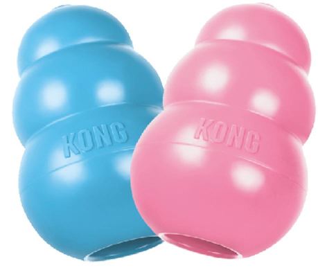 Kong Puppy XS