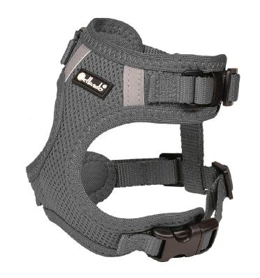 Mesh-Geschirr anthrazit XXS