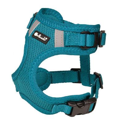 Mesh-Geschirr petrol XXS