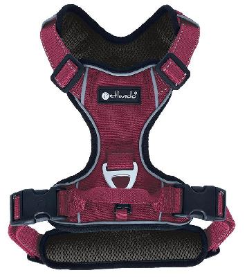 Outdoor Geschirr berry XS