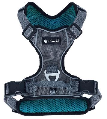 Outdoor Geschirr petrol XS