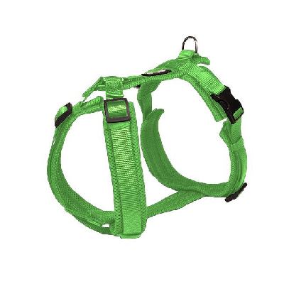 Y-Comfort Geschirr apple S