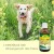 insektoVet Bio-Kokos-Schwarzkümmel-Öl 100 ml